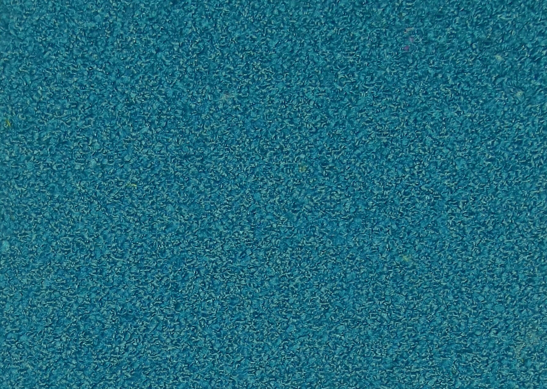 SR19190C5