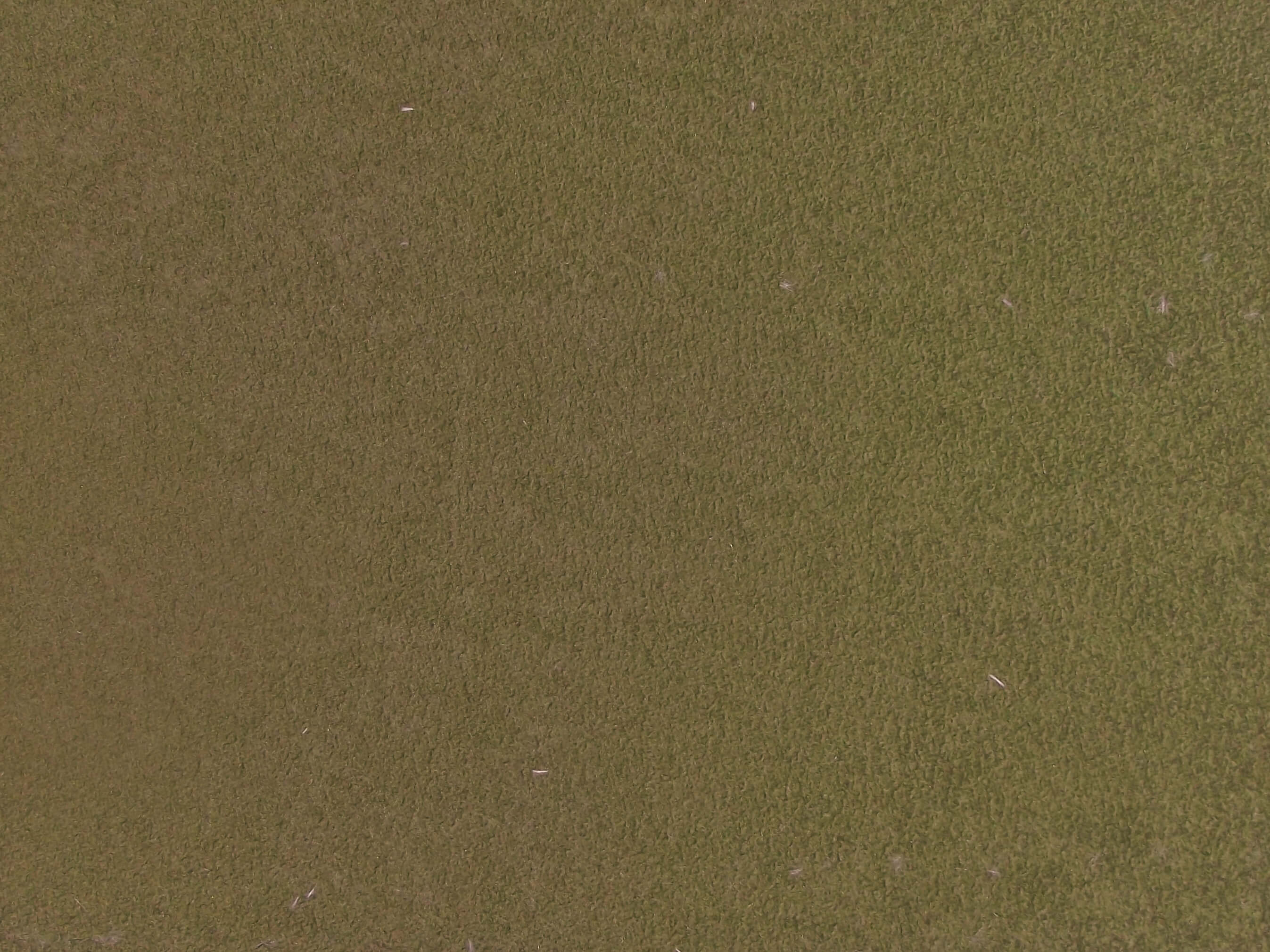 SR19067C5