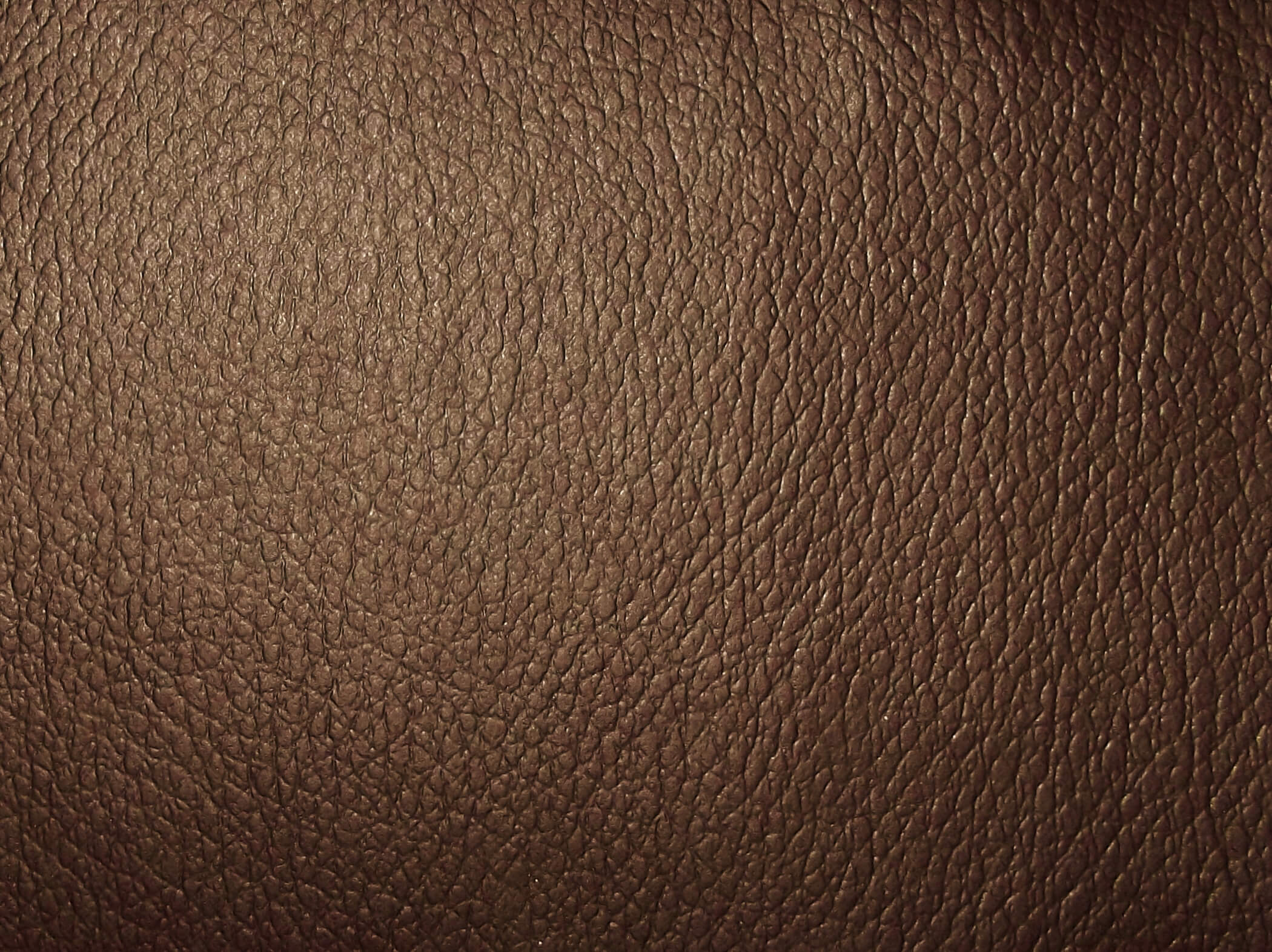 SR14354C5